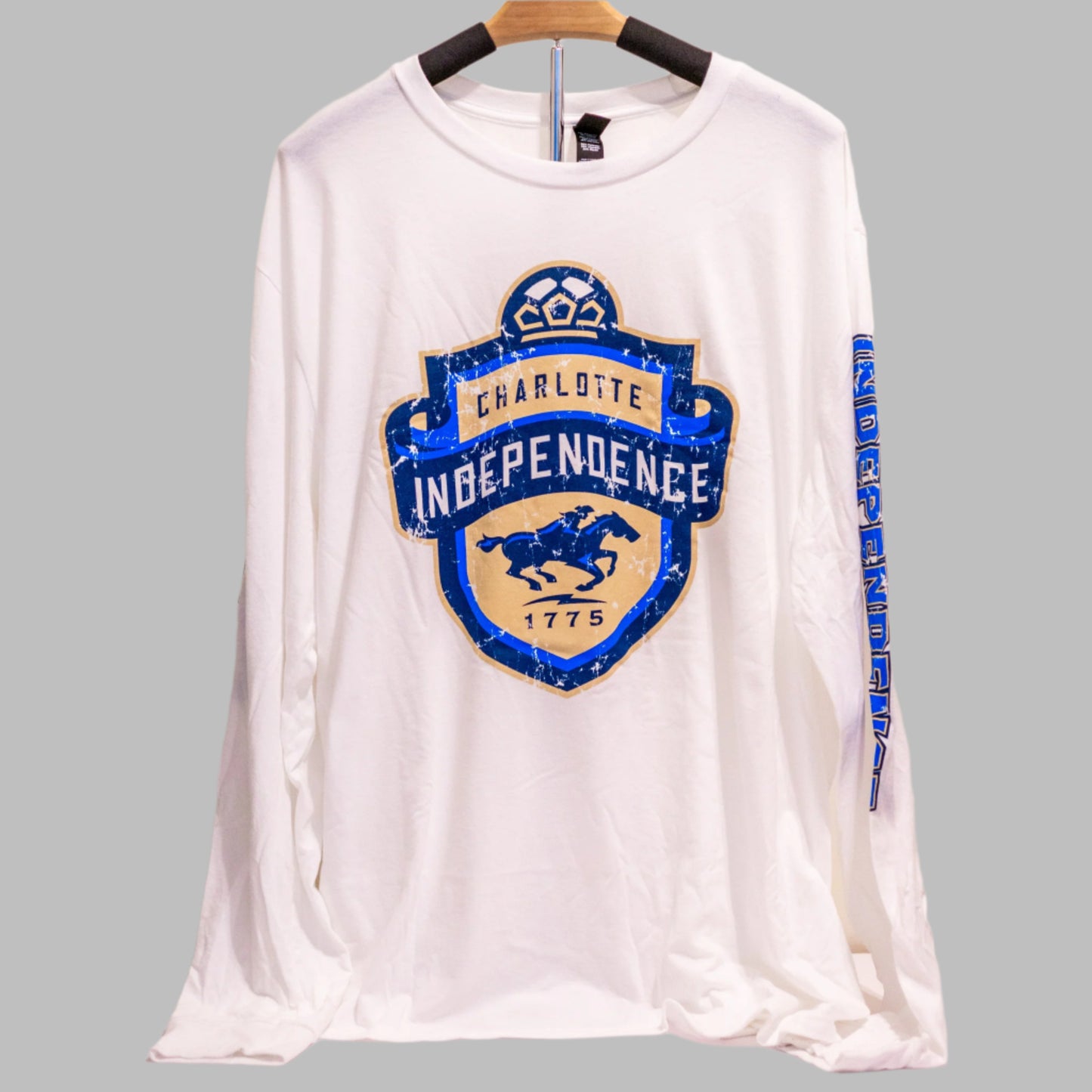 LAST CHANCE: Distressed Shield (long sleeve)