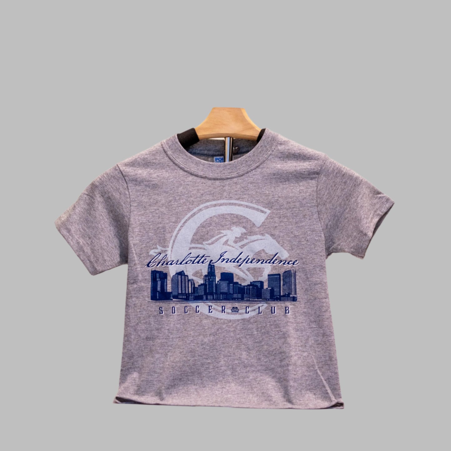 Shirt: Skyline (youth and adult)